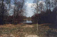 Steller Heide 1999