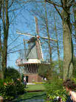 Keukenhof Holland 2003