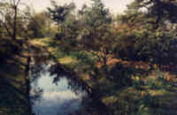 Rhododendronpark Bremen 1999