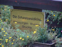 Schwarzwaldklinik 2007