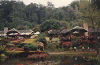 Thailand 1998