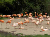 Vogelpark Walsrode 2007