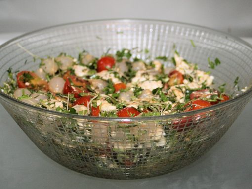 Pita-Salat